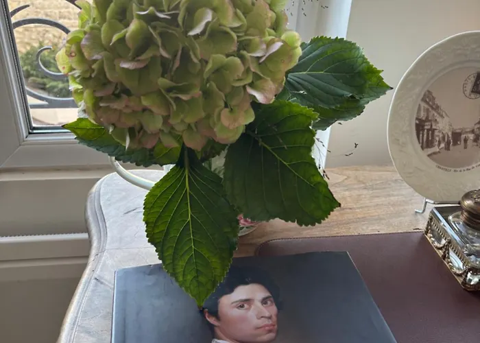 Hôtel accueillant les animaux: Cocoon Retreat